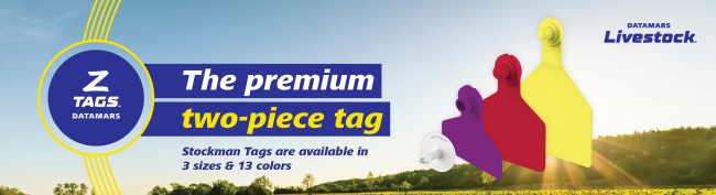 Two Piece tag banner