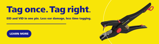 ZTAGS NZ INT Generic desktop banner Oct26